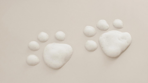 Two dogs paws made from shampoo foam